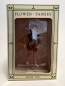 Preview: Flower-Fairy Elfe Hartriegel (Box)