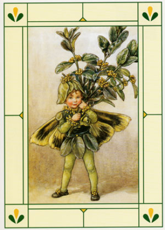 Postkarte Buchsbaum