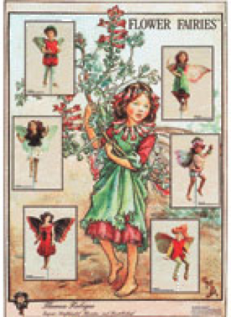 Flower Fairy Poster Serie 2