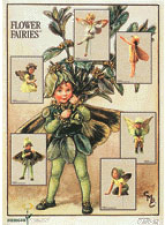 Flower Fairy Poster Serie 3
