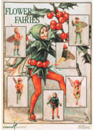 Flower Fairy Poster Serie 6