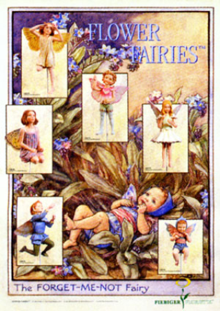 Flower Fairy Poster Serie 15