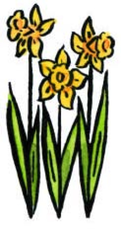 Motivstempel Three Daffodils