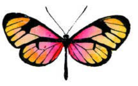 Motivstempel Butterfly