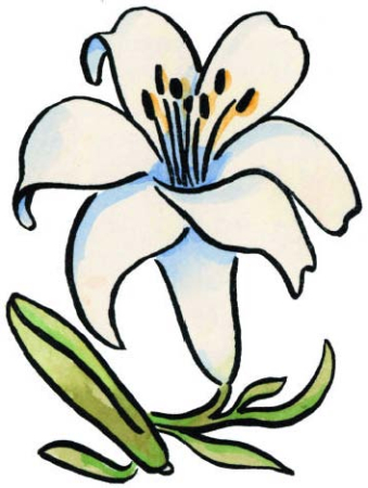 Motivstempel White Lily