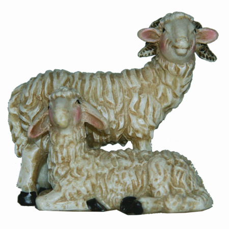 Schaf mit Widder