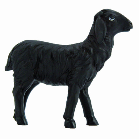 schwarzes Schaf stehend
