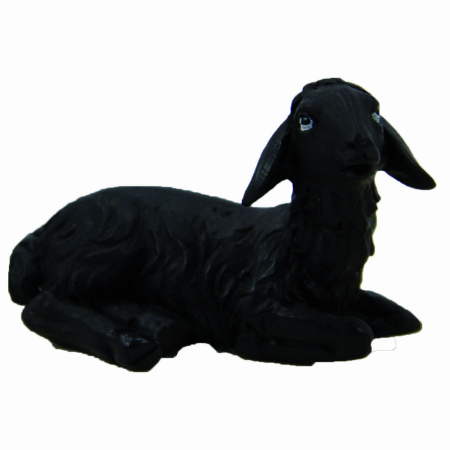 schwarzes Schaf liegend