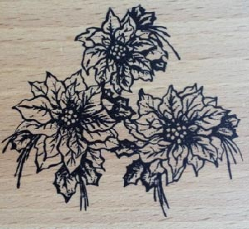 Motivstempel Poinsettias