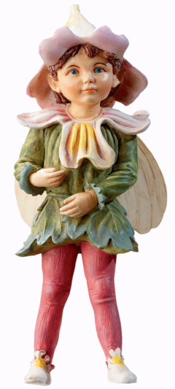 Flower-Fairy Elfe Augentrost (Box)
