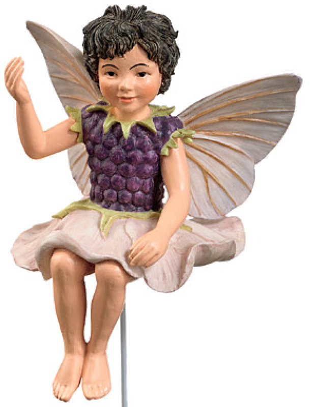 Flower-Fairy Elfe Brombeere (Box)