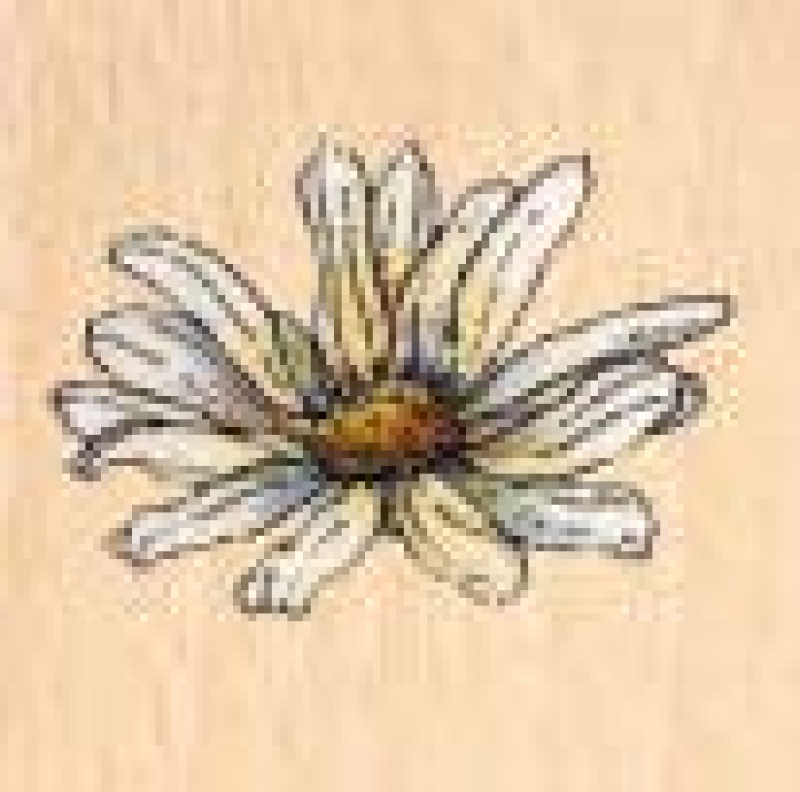 Motivstempel Mini Daisy