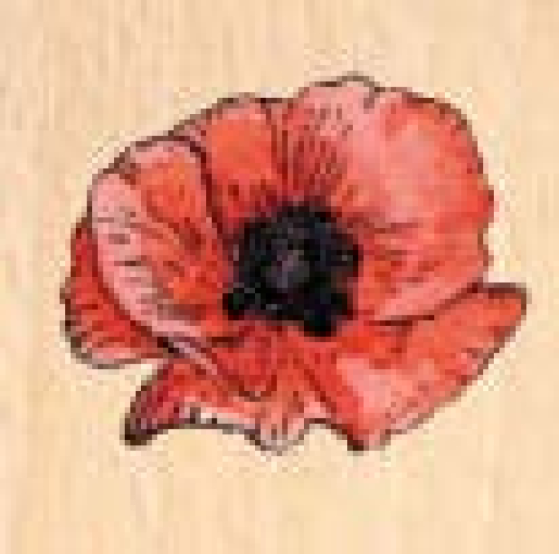 Motivstempel Mini Poppy