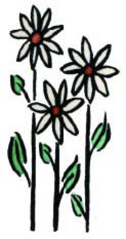 Motivstempel Three Daisies