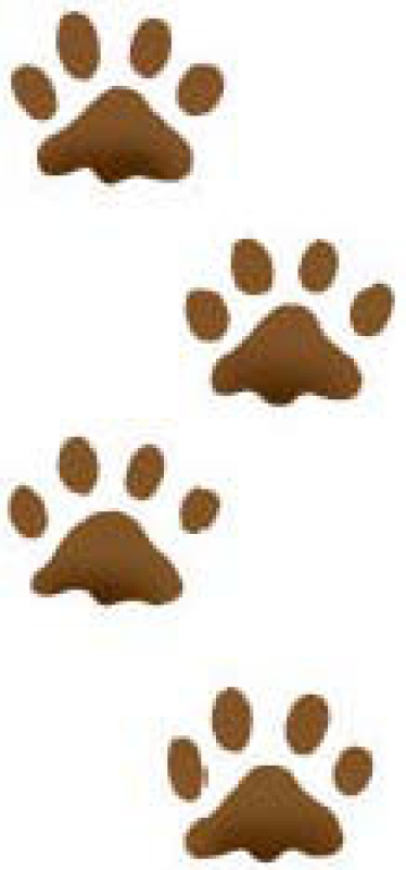 Motivstempel Paw