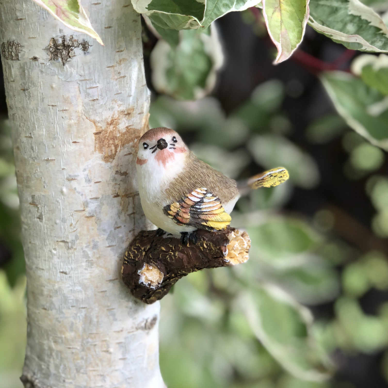 Dekovogel auf Ast braun